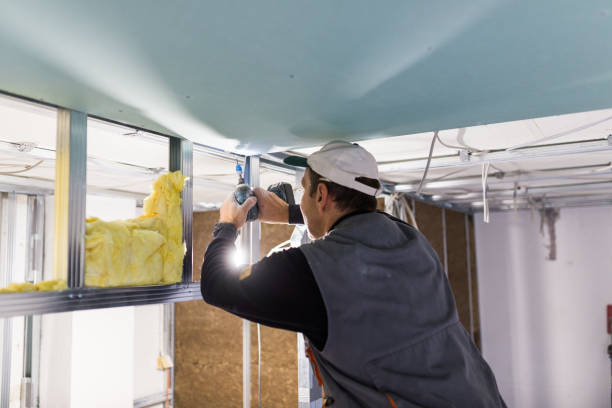 Best Energy Efficiency Insulation in South Bay, FL