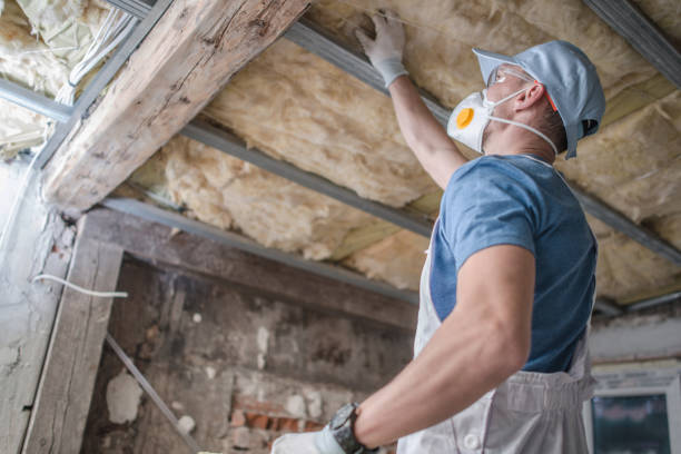 Best Insulation for Specific Applications in South Bay, FL
